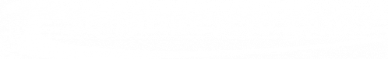 logo senamiesčio gidas